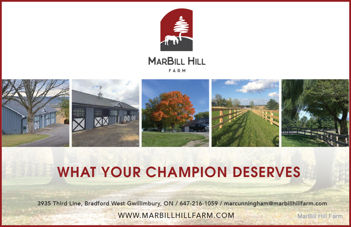MarBill Hill Farm - Angelstone